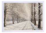 Winter Lane Wood Framed Print