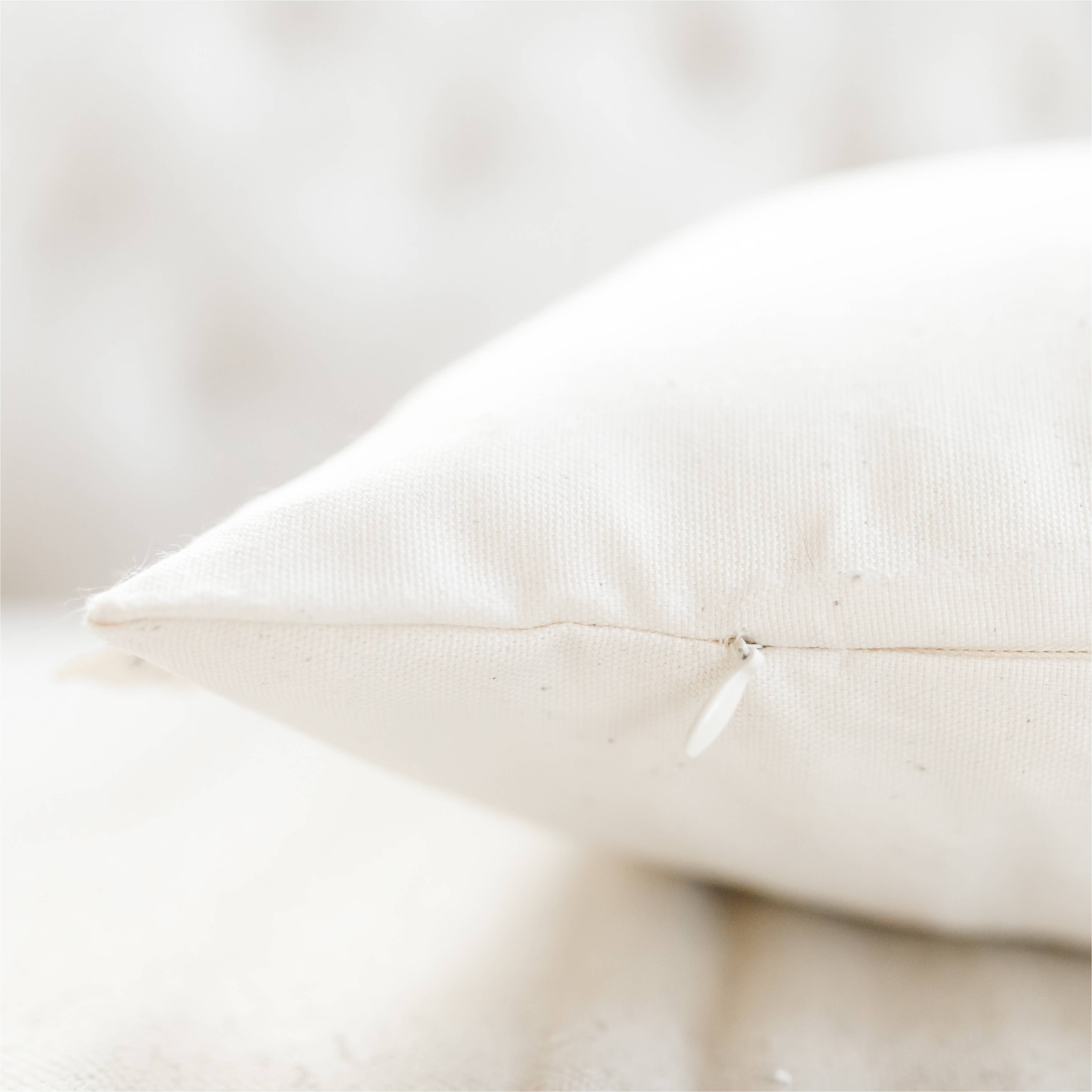 Throw Pillows - Pumpkins and Gourds