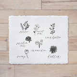Calligraphy Print - Flower Types - Horizontal