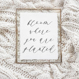 Calligraphy Print - Bloom Where You Are Planted - Vertical