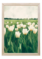 Wood Framed Print - Tulip Field - Handmade in USA, gallery wall art, framed decor