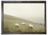 Wood Framed Print - Grazing Sheep - Handmade in USA, gallery wall art, framed decor