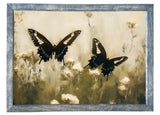 Wood Framed Print - Butterfly Pair - Handmade in USA, gallery wall art, framed decor