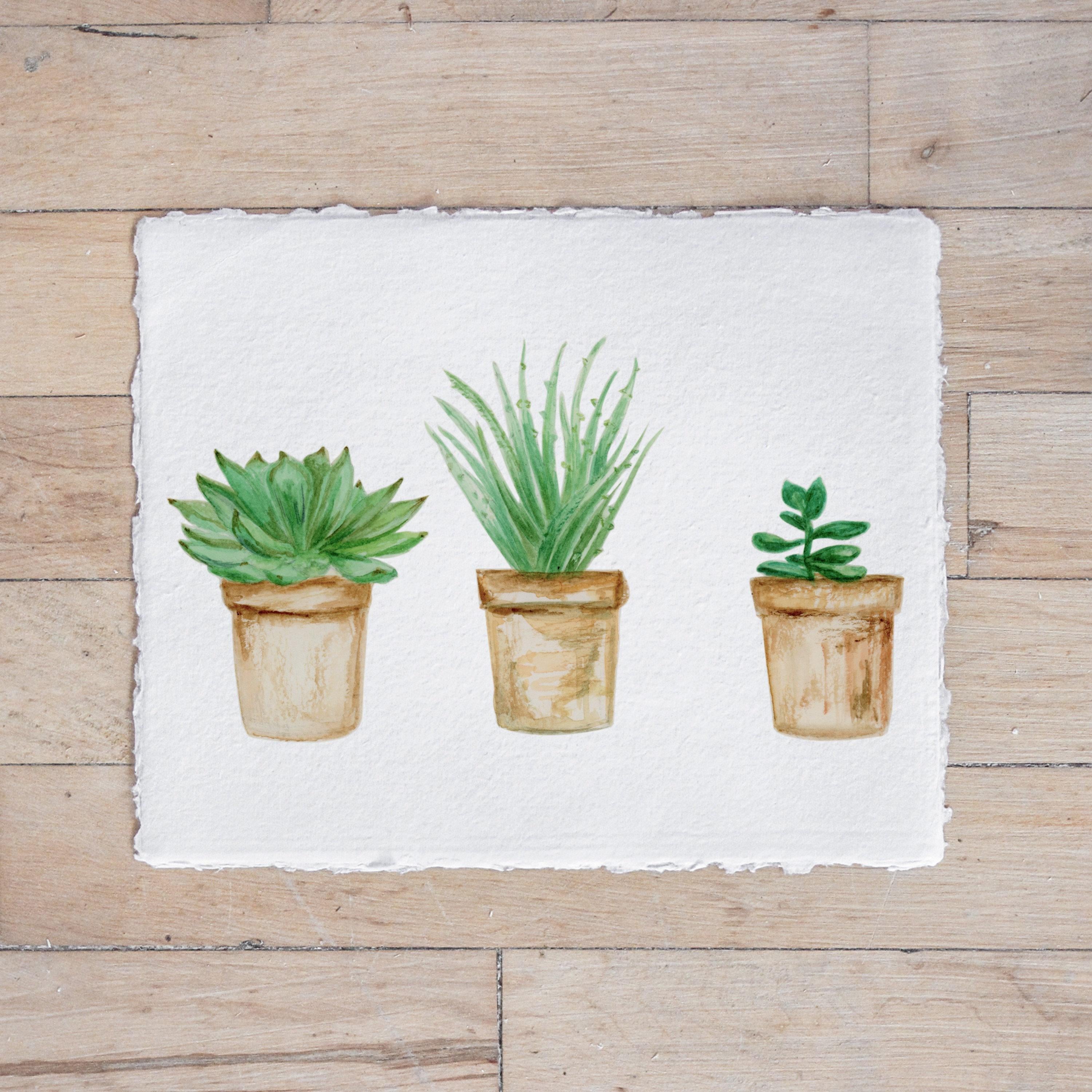 Calligraphy Print - Succulent Pots Watercolor - Horizontal