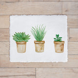 Calligraphy Print - Succulent Pots Watercolor - Horizontal