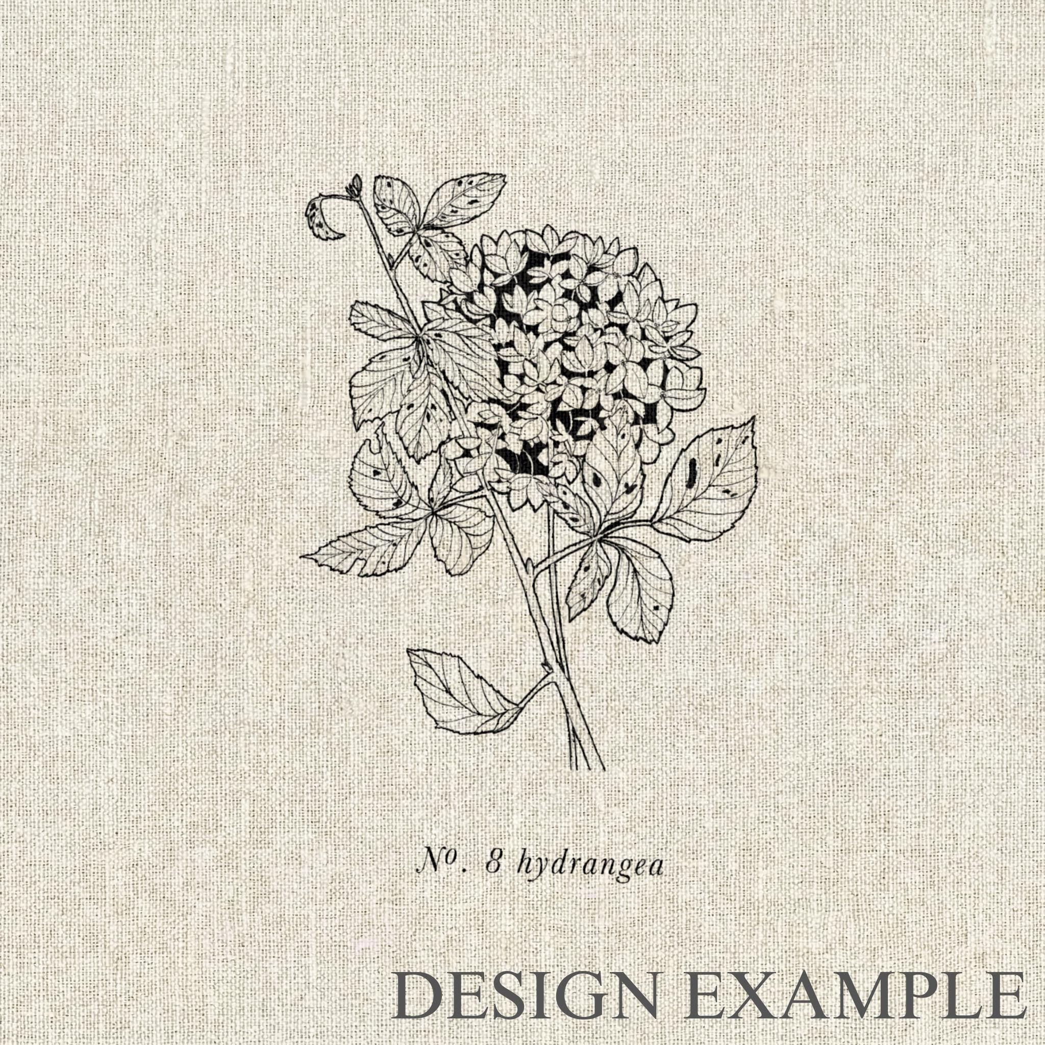 Napkins - Botanicals