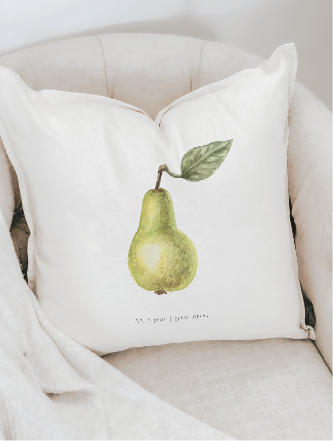 Fruits/Veggies in Color Pillow